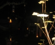 Lesung am 20.11 (2)